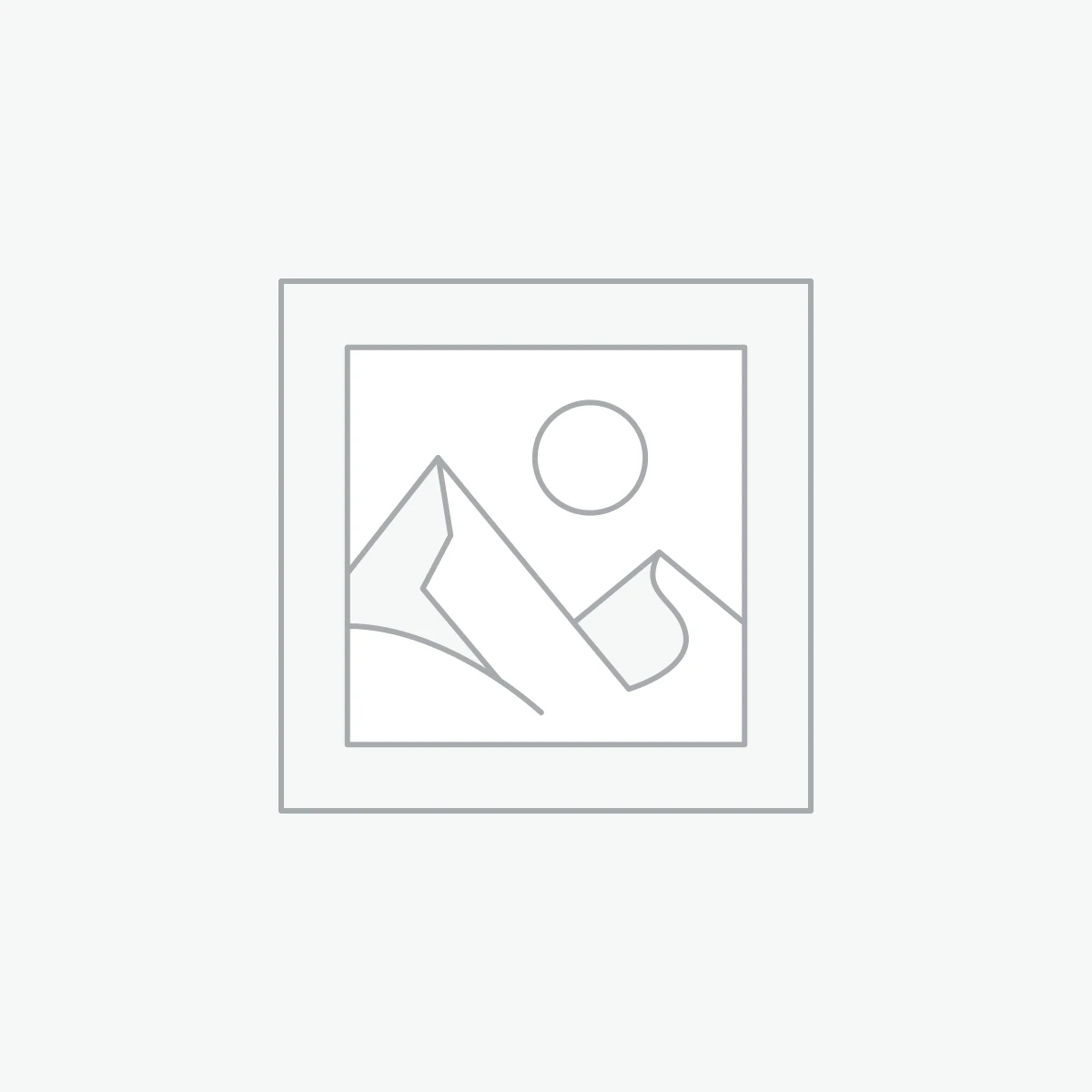 Software Services